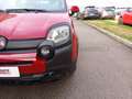 Fiat Panda Panda 1.0 firefly hybrid s&s 70cv 5p.ti Rouge - thumbnail 18
