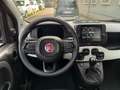 Fiat Panda Panda 1.0 firefly hybrid s&s 70cv 5p.ti Rouge - thumbnail 8