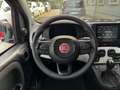 Fiat Panda Panda 1.0 firefly hybrid s&s 70cv 5p.ti Rouge - thumbnail 21