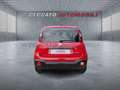 Fiat Panda Panda 1.0 firefly hybrid s&s 70cv 5p.ti Rouge - thumbnail 5