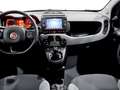 Fiat New Panda City Cross 1.0 FireFly Hybrid Bianco - thumbnail 9