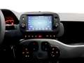 Fiat New Panda City Cross 1.0 FireFly Hybrid Bianco - thumbnail 8