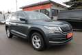 Skoda Kodiaq 2,0 TDI SCR 4x4 Ambition Grau - thumbnail 3