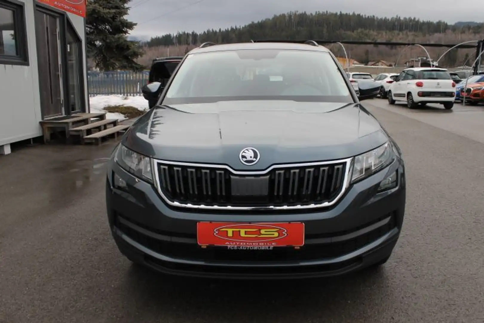 Skoda Kodiaq 2,0 TDI SCR 4x4 Ambition Grau - 2