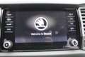 Skoda Kodiaq 2,0 TDI SCR 4x4 Ambition Grau - thumbnail 14