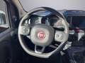 Fiat Panda Panda III 2021 Cross 1.0 firefly hybrid Cross s Bianco - thumbnail 10