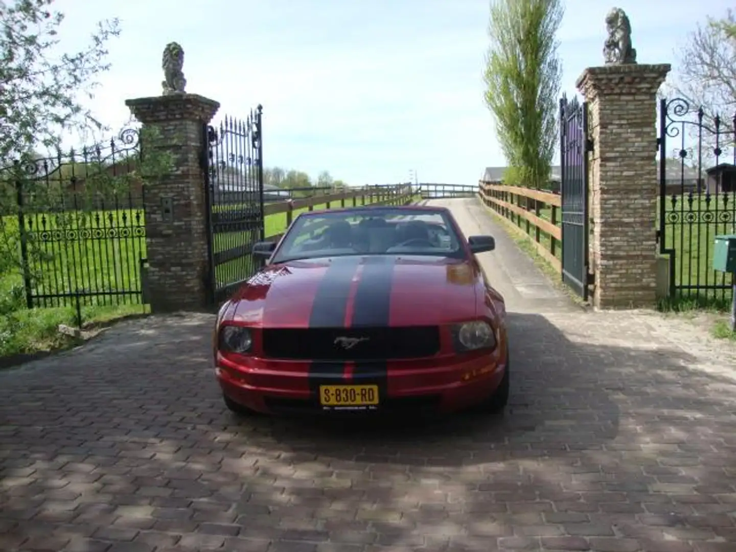 Ford Mustang Červená - 2