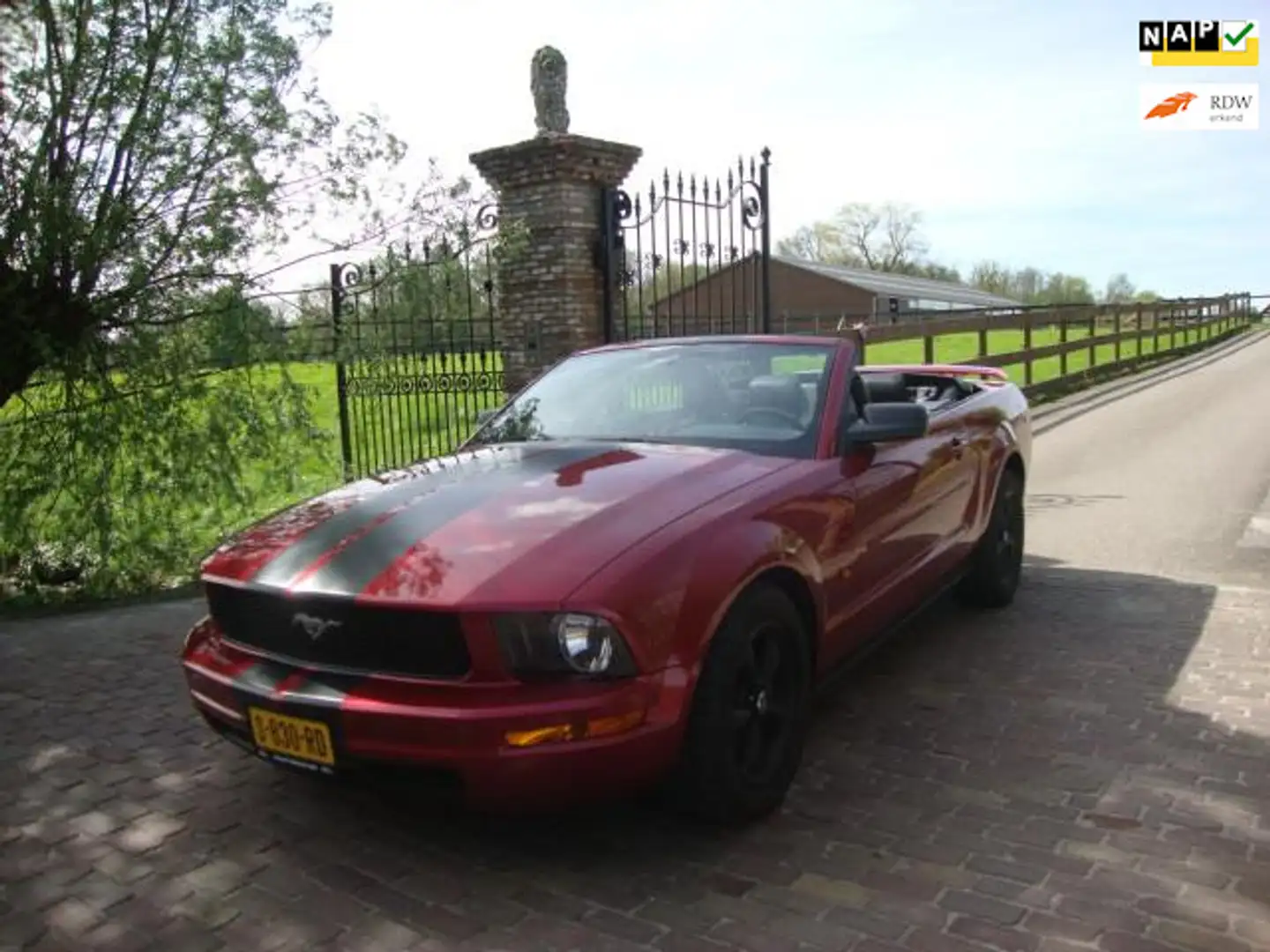 Ford Mustang Červená - 1
