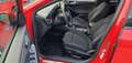 Ford Focus 1.0 ecoboost ST-Line s&s 125cv Rouge - thumbnail 18