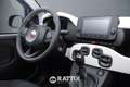 Fiat Panda Pandina 1.0 Firefly Hybrid 70CV Cross Blau - thumbnail 19