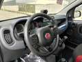 Fiat Panda 1.2 GPL Pop Van 2 posti Bianco - thumbnail 11