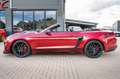 Ford Mustang 5.0 Ti-VCT V8 GT 500 SHELBY Rouge - thumbnail 14