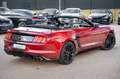 Ford Mustang 5.0 Ti-VCT V8 GT 500 SHELBY Rouge - thumbnail 15