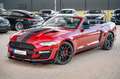 Ford Mustang 5.0 Ti-VCT V8 GT 500 SHELBY Rouge - thumbnail 12