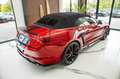 Ford Mustang 5.0 Ti-VCT V8 GT 500 SHELBY Rouge - thumbnail 8