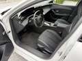 Peugeot 308 Hybrid 180 e-EAT8 Allure Pack Weiß - thumbnail 10