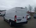 Fiat Ducato Maxi Grossr.-Kasten 35 130 L5H2 RS: 4035 Weiß - thumbnail 7