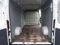 Fiat Ducato Maxi Grossr.-Kasten 35 130 L5H2 RS: 4035 Weiß - thumbnail 14