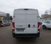 Fiat Ducato Maxi Grossr.-Kasten 35 130 L5H2 RS: 4035 Weiß - thumbnail 6
