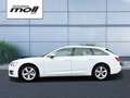 Audi A6 Avant 40 TDI sport S-tronic Matrix, Navi+ Blanco - thumbnail 2