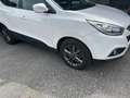 Hyundai iX35 iX35 2,0 CRDi GO GO Weiß - thumbnail 3