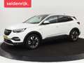 Opel Grandland X 1.2 Turbo Business Executive | Panoramadak | Stoel Wit - thumbnail 1