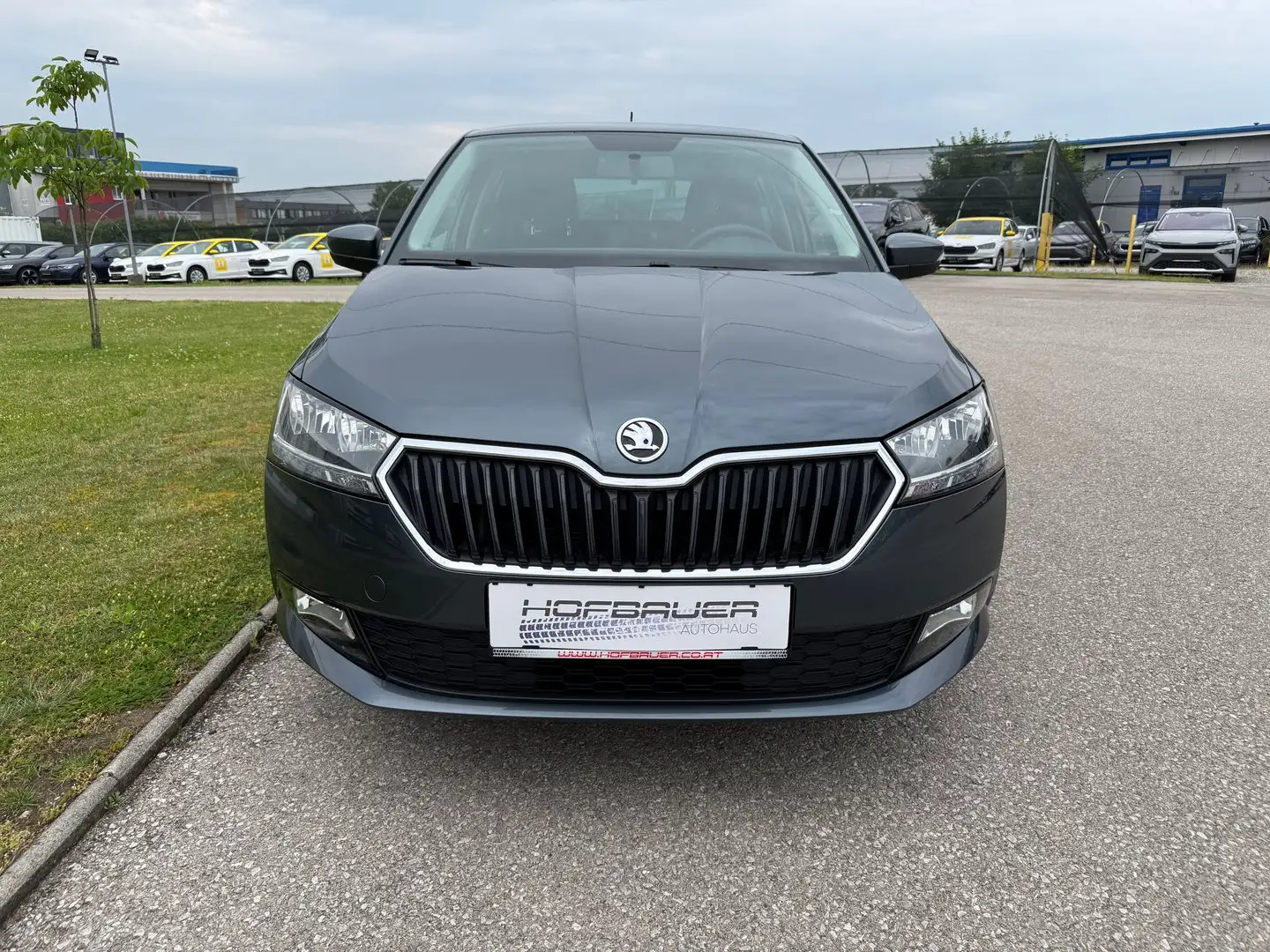 Skoda Fabia 20 Grau - 2