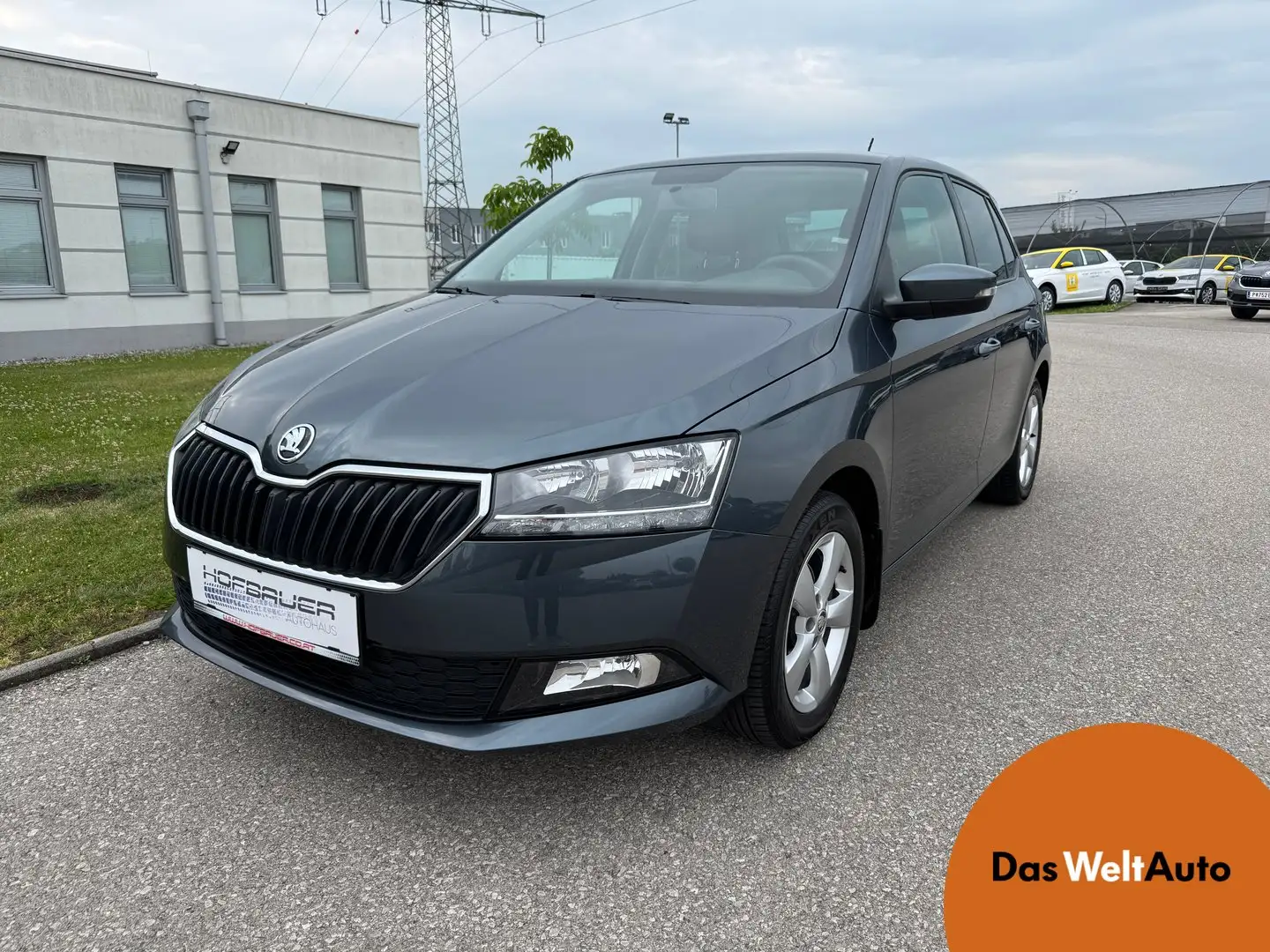 Skoda Fabia 20 Grau - 1