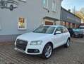Audi Q5 2.0 TFSI,quattro,Navi,Bi Xen,Standhzg Weiß - thumbnail 4
