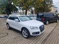 Audi Q5 2.0 TFSI,quattro,Navi,Bi Xen,Standhzg Blanc - thumbnail 14