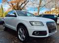 Audi Q5 2.0 TFSI,quattro,Navi,Bi Xen,Standhzg Weiß - thumbnail 6