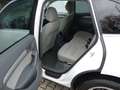 Audi Q5 2.0 TFSI,quattro,Navi,Bi Xen,Standhzg Weiß - thumbnail 26