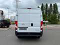 Opel Movano Cargo 2.2 (140PS) L2H2 3,5t, AHK, PDC White - thumbnail 2