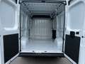 Opel Movano Cargo 2.2 (140PS) L2H2 3,5t, AHK, PDC Weiß - thumbnail 5