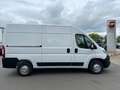 Opel Movano Cargo 2.2 (140PS) L2H2 3,5t, AHK, PDC Weiß - thumbnail 3