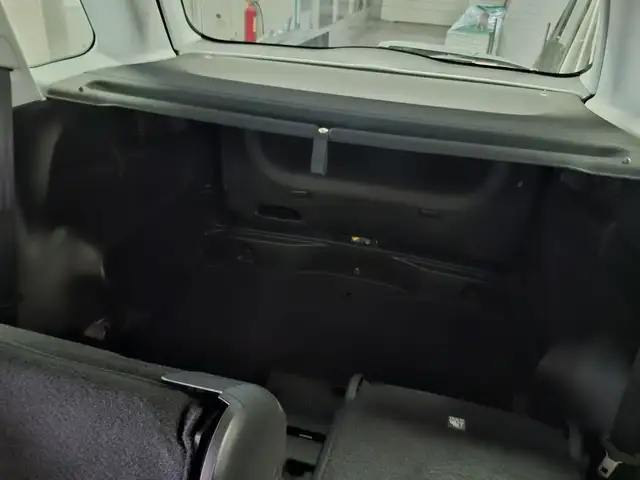 Fiat 500L view 11