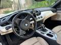 BMW Z4 sdrive20i e89 Bianco - thumbnail 6
