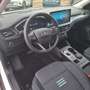 Ford Focus Active X  ACC+Head-Up+AHK+Panoramadach Weiß - thumbnail 9