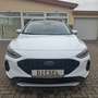 Ford Focus Active X  ACC+Head-Up+AHK+Panoramadach Weiß - thumbnail 1