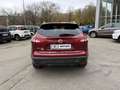 Nissan Qashqai Qashqai II 1.6 dci Business 2wd 130cv xtronic E6 Rot - thumbnail 4