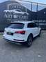 Audi Q5 40 TDI S-Line/ACC/AHK/SHZ/PDC/Ab 292 Euro im Monat Weiß - thumbnail 6