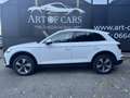 Audi Q5 40 TDI S-Line/ACC/AHK/SHZ/PDC/Ab 292 Euro im Monat Weiß - thumbnail 5