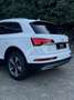 Audi Q5 40 TDI S-Line/ACC/AHK/SHZ/PDC/Ab 292 Euro im Monat Weiß - thumbnail 7