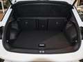 Volkswagen T-Roc 1.5 TSI DSG R-Line Pano AHK Navi LED Weiß - thumbnail 11