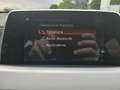BMW X2 xDrive20dA 190ch Business Design Euro6d-T Argent - thumbnail 10
