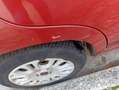 Fiat Panda Panda III 2012 1.2 Lounge 69cv Rosso - thumbnail 7