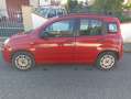 Fiat Panda Panda III 2012 1.2 Lounge 69cv Rosso - thumbnail 2