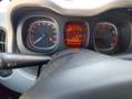 Fiat Panda Panda III 2012 1.2 Lounge 69cv Rosso - thumbnail 14