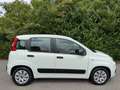 Fiat Panda Panda 1.2i Easy Blanc - thumbnail 6