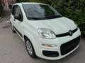 Fiat Panda Panda 1.2i Easy Blanc - thumbnail 7
